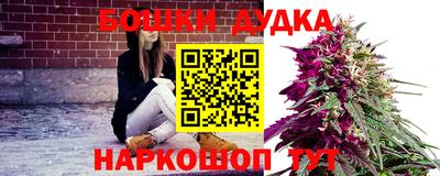 каннабис Новозыбков