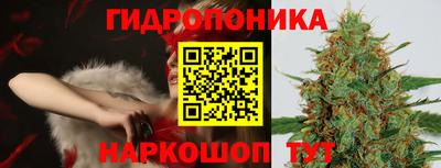 каннабис Новозыбков