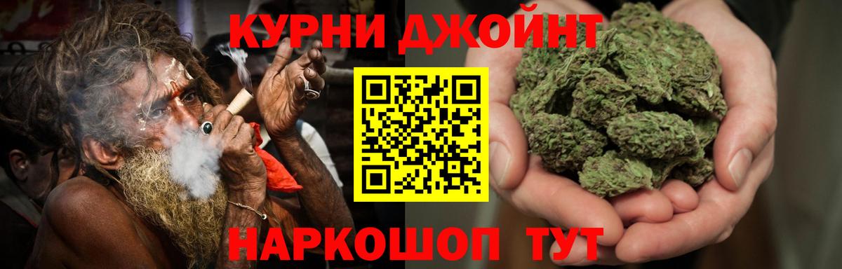 Конопля гибрид Ярославль